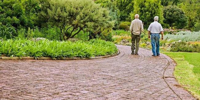 Estate-Planning-Basics-for-the-Elderly Will attorney