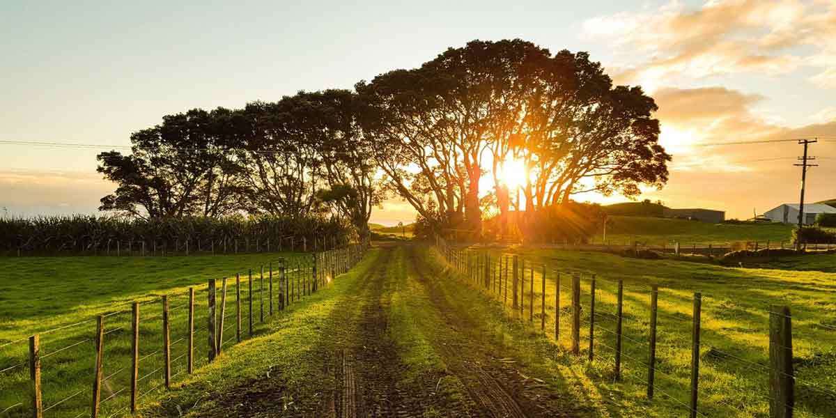 Estate Planning 101: Handling Assets in Foreign Jurisdictions