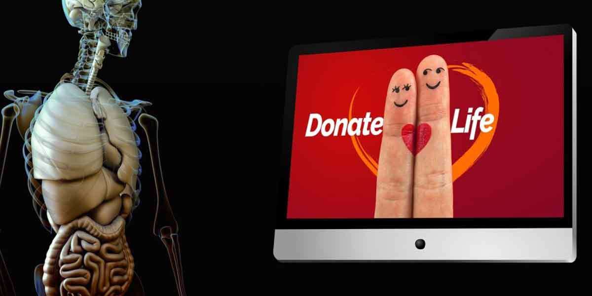 Estate-Planning-101-The-Living-Will,-DNR-and-Organ-Donation Organ donation is a topic most families don't tackle