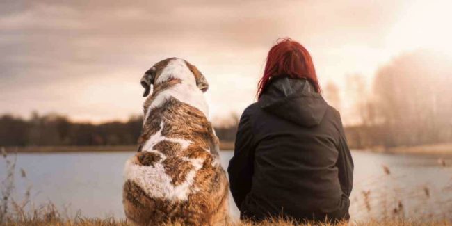 Estate Planning with Pets in the Picture