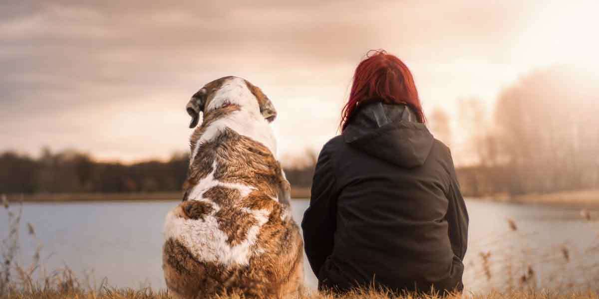 Estate Planning with Pets in the Picture