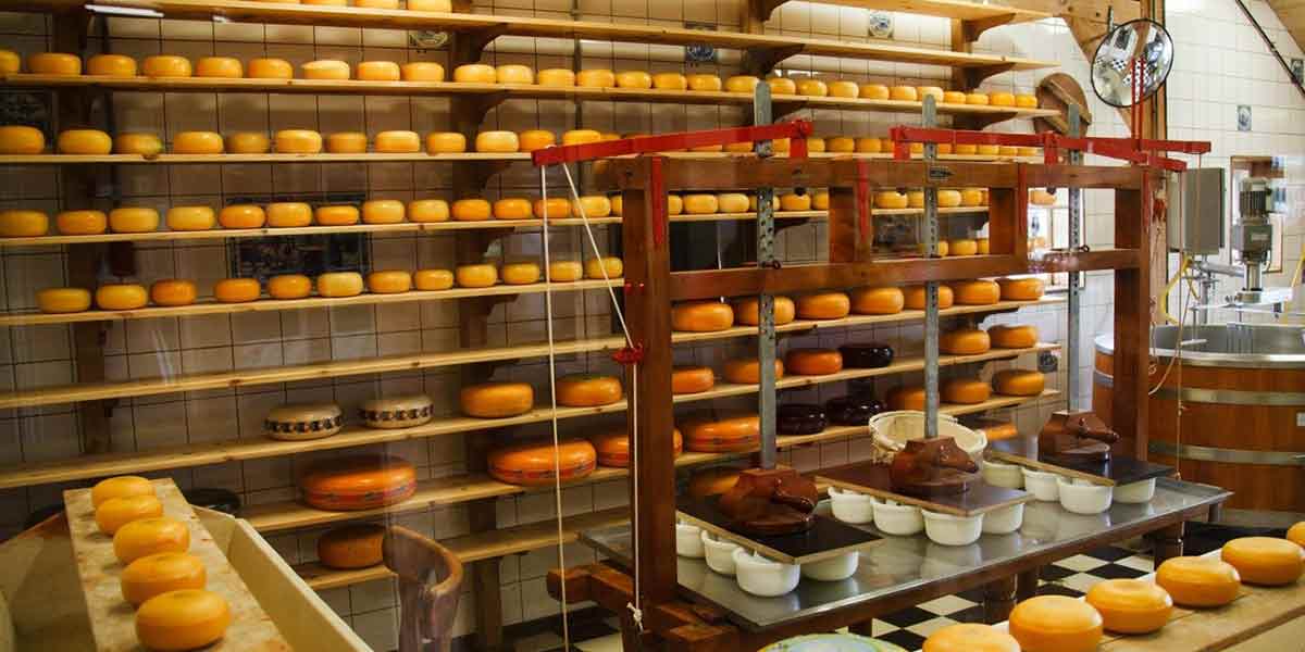 Intellectual-Property-(IP)-Protection Intellectual Property (IP) Protection