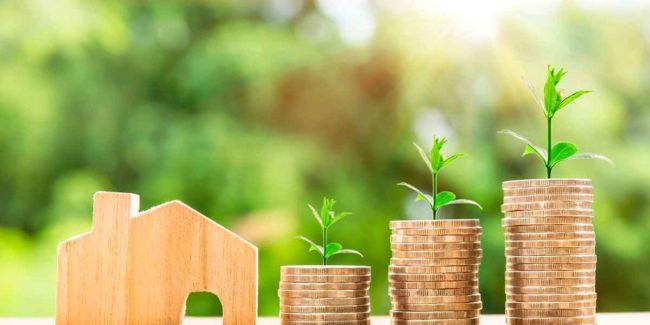 Estate Planning 101: The Role of a Financial Advisor