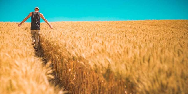 Estate-Planning-for-Farmers Estate Planning for Farmers