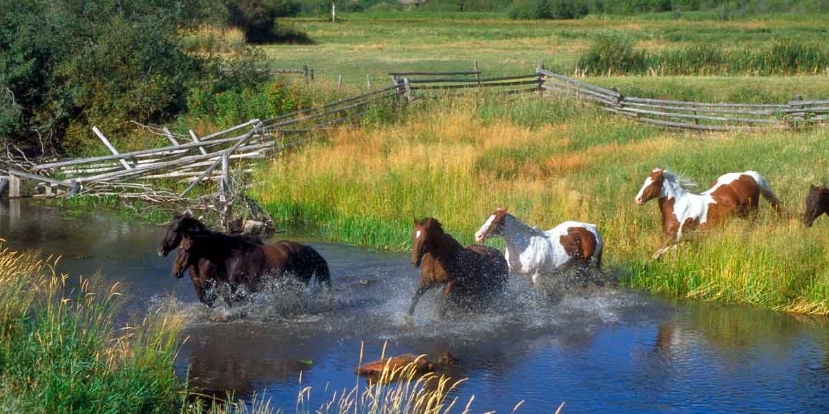 Ranch-Estate-Planning-Mistakes Ranch Estate Planning Mistakes