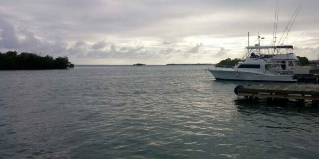 Expats-&-Estate-Planning-What-You-Need-to-Do Expats & Estate Planning: What You Need to Do